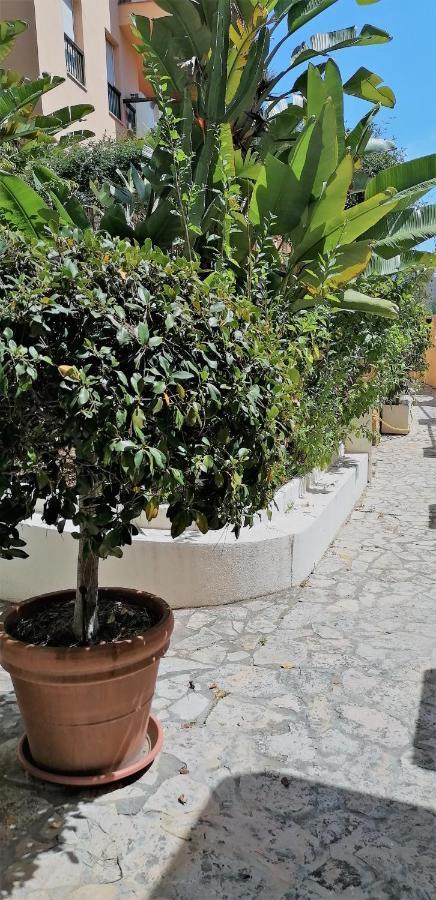 & Golf Design Apartamento *